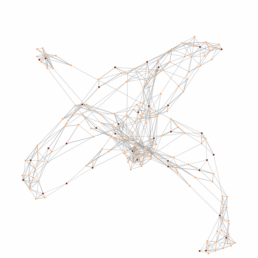 picture of spaghetti